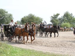 IMG_1213_web